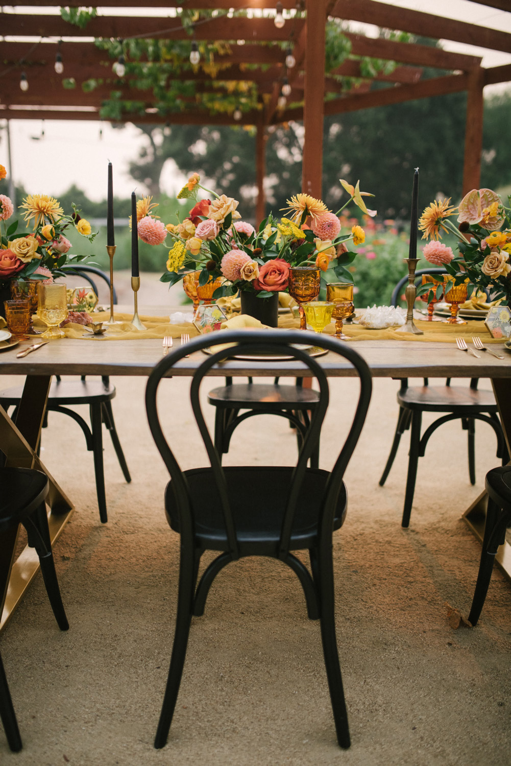 Black_Bentwood_Dining_Chair_Tablescape_Roblar_Farm